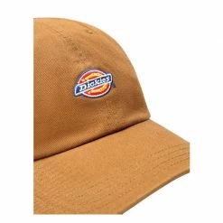 Caps DICKIES HARDWICK CAP - BROWN DUCK